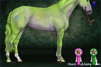 Horse Color:Watercolor Liver Chestnut 