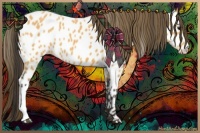 Horse Color:Buckskin Appaloosa