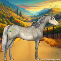 Horse Color:Silver Smoky Grullo Chinchilla