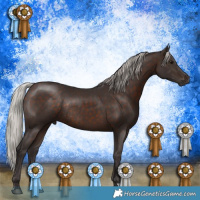 Horse Color:Silver Brown Rabicano 