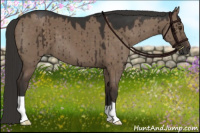 Horse Color:Liver Red Dun Brindle 