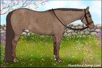 Horse Color:Liver Red Dun Appaloosa Brindle