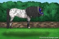 Horse Color:White Spotted Blue Roan Blanket 