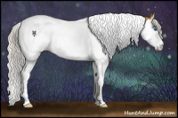 Horse Color:Silver Buckskin Splash Tobiano 