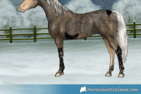 Horse Color:Void Silver Smoky Blue Roan Pearl Tobiano Rabicano