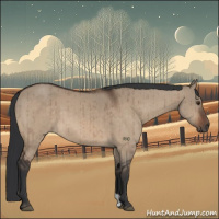 Horse Color:Brown Dun Brindle 