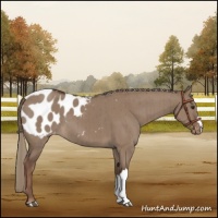 Horse Color:Liver Red Dun Mushroom Blanket Brindle 