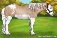 Horse Color:Silver Black Pearl Splash Appaloosa Rabicano 