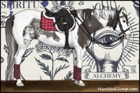 Horse Color:White Spotted Smoky Black Splash Tobiano Rabicano 