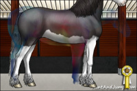 Horse Color:Smoky Black Splash