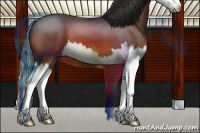 Horse Color:Brown Roan Splash 