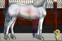 Horse Color:Sable Champagne Splash Tobiano 