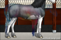 Horse Color:Blue Roan Splash 