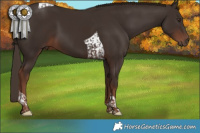 Horse Color:Liver Chestnut Tobiano 