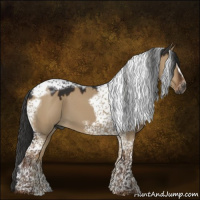 Horse Color:Gray Liver Red Dun Tobiano Frame