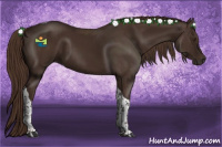 Horse Color:Liver Chestnut Tobiano 