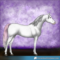 Horse Color:Watercolor Red Dun Splash Near Leopard Rabicano 