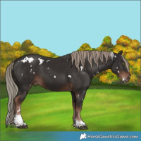 Horse Color:White Spotted Liver Chestnut Mushroom Tobiano 