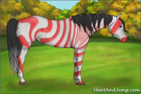 Horse Color:Brown Tobiano