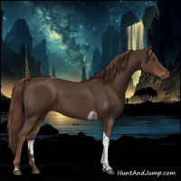 Horse Color:Liver Chestnut Tobiano 