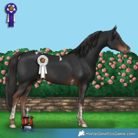 Horse Color:Liver Chestnut Tobiano 