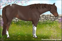Horse Color:Liver Chestnut Tobiano 