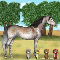 Horse Color:Brown Dun Splash Tobiano