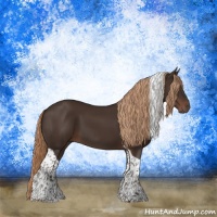 Horse Color:Liver Chestnut Tobiano 