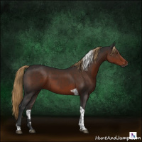 Horse Color:Gray Liver Chestnut Tobiano