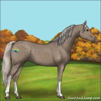 Horse Color:Silver Grullo 