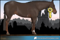 Horse Color:Liver Chestnut Tobiano