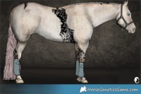 Horse Color:Void Chocolate Palomino Pearl Dun Tobiano Rabicano Brindle 