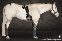 Horse Color:Void Chocolate Palomino Pearl Dun Tobiano Rabicano Brindle 