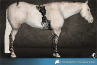 Horse Color:Void Chocolate Palomino Pearl Dun Tobiano Rabicano Brindle 