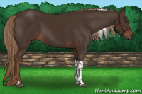 Horse Color:Liver Chestnut Tobiano 