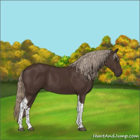 Horse Color:Liver Chestnut Tobiano 