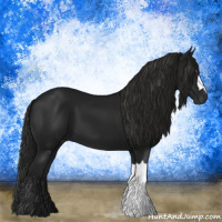 Horse Color:Gray Black 