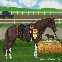 Horse Color:Liver Chestnut Tobiano 