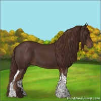 Horse Color:Liver Chestnut Tobiano 
