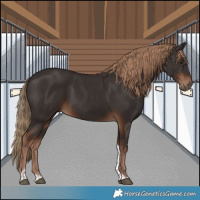 Horse Color:Liver Chestnut Tobiano 