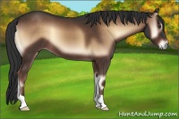 Horse Color:Liver Red Onyx