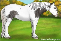 Horse Color:Liver Chestnut Sabino Splash Tobiano Rabicano