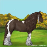 Horse Color:Liver Chestnut Tobiano 
