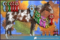 Horse Color:White Spotted Liver Chestnut Sabino 