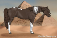 Horse Color:Liver Chestnut Tobiano 