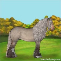 Horse Color:Silver Brown Dun Rabicano 