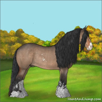 Horse Color:Brown Dun Sabino Rabicano 