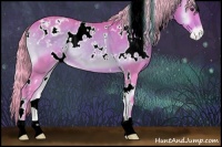 Horse Color:Watercolor White Spotted Palomino Onyx Appaloosa Rabicano 
