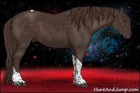 Horse Color:Liver Chestnut Tobiano 