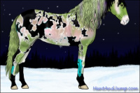 Horse Color:Watercolor White Spotted Chocolate Palomino Onyx Appaloosa